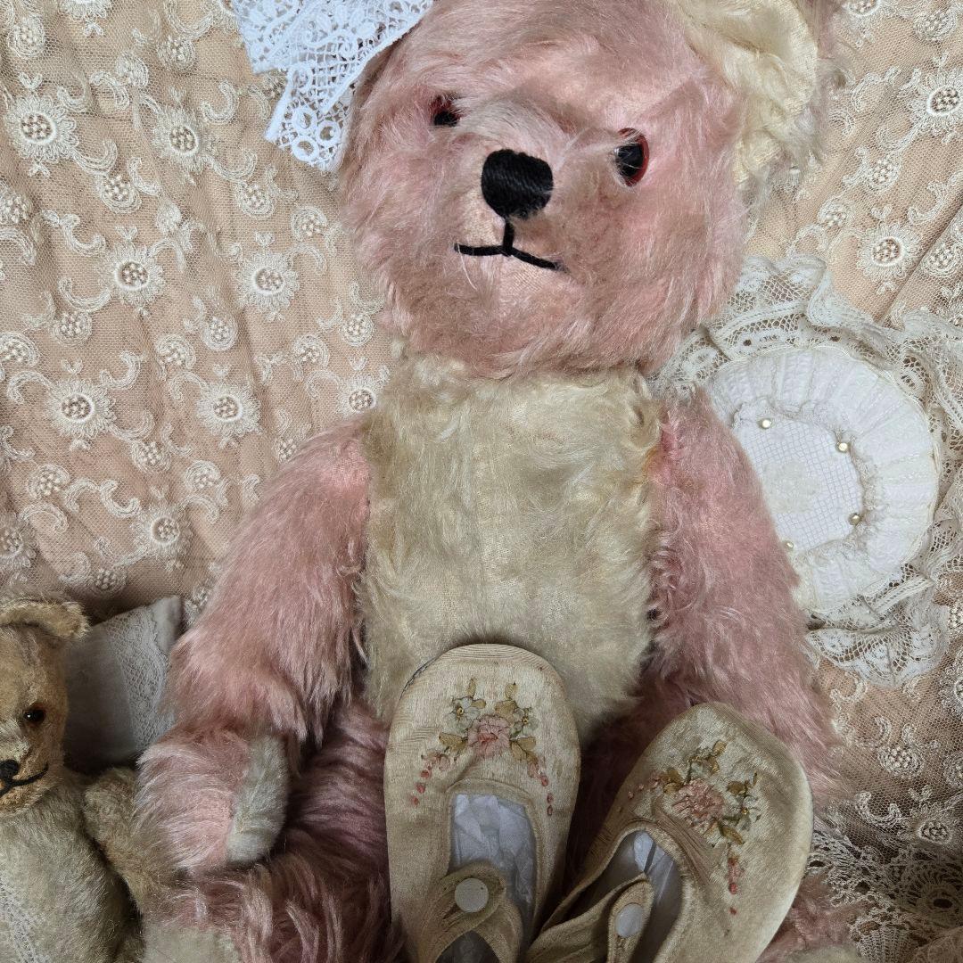 ペディグリー アンティークベア テディベア ピンク