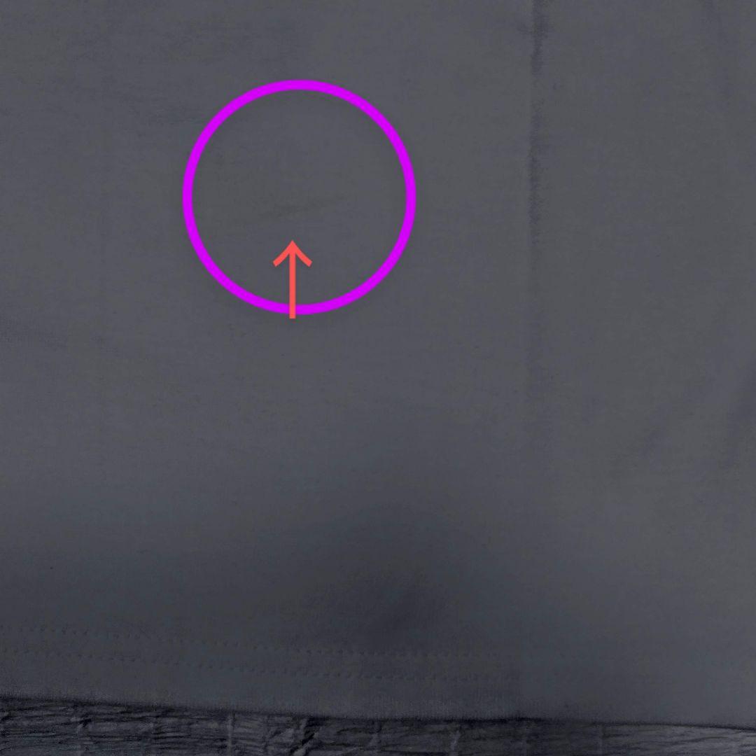 ⭐値下⭐春日さんのサイン入りTシャツ『ANN5周年記念史上最大のショーパブ祭り』