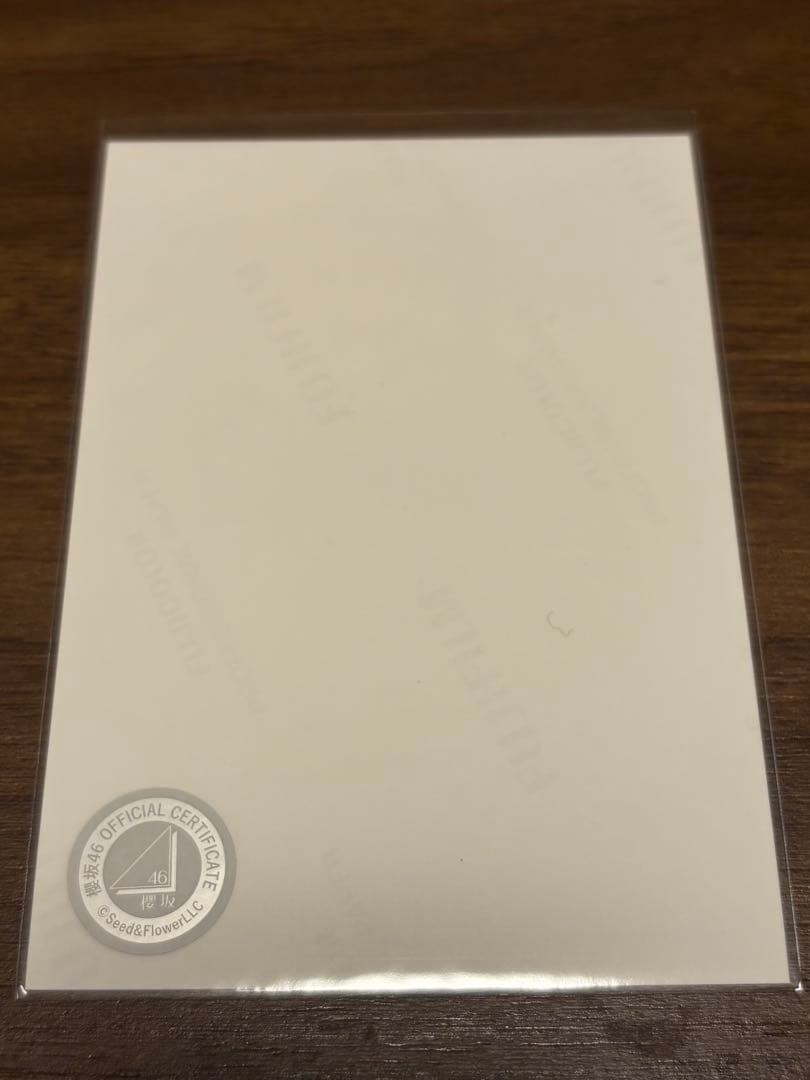 櫻坂46 武元唯衣 サンタ 直筆サイン　生写真　2025年