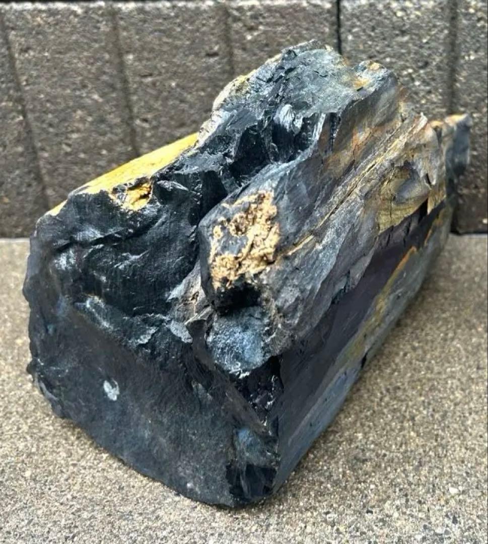 北海道 遠軽瀬戸瀬産 珪化木 5.4kg 特大 木化石 鑑賞石 置物 盆栽 水石