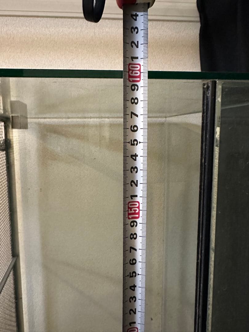 幅1600 奥行500 高さ450 ガラスケージ