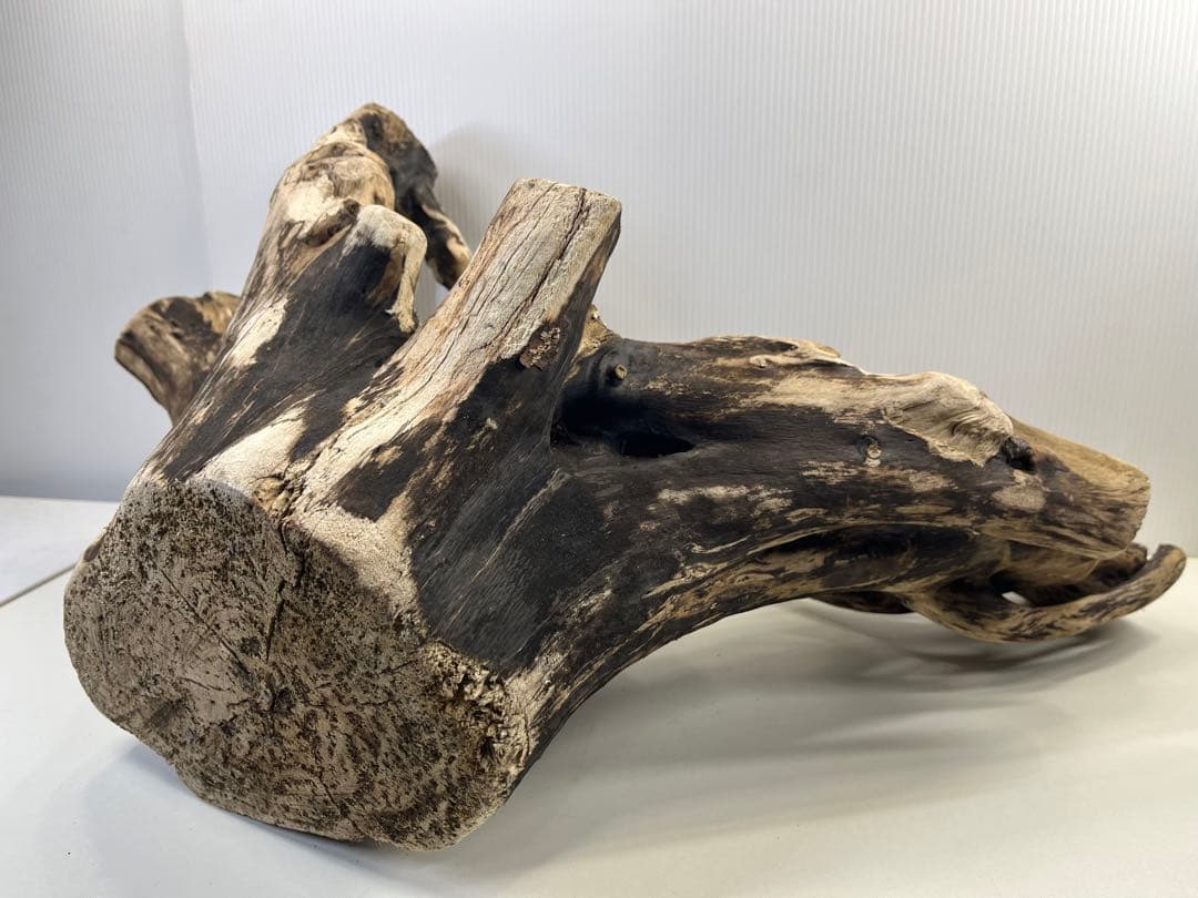 k90特大流木 アク抜き済み 爬虫類シェルター レイアウト用 登り木 インテリア