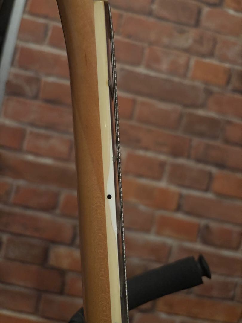 FERNANDES MG-80X hideモデル　モッキンバード