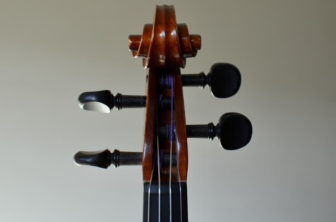 【銘器】R.Paesold No.804 バイオリン 4/4 1991年