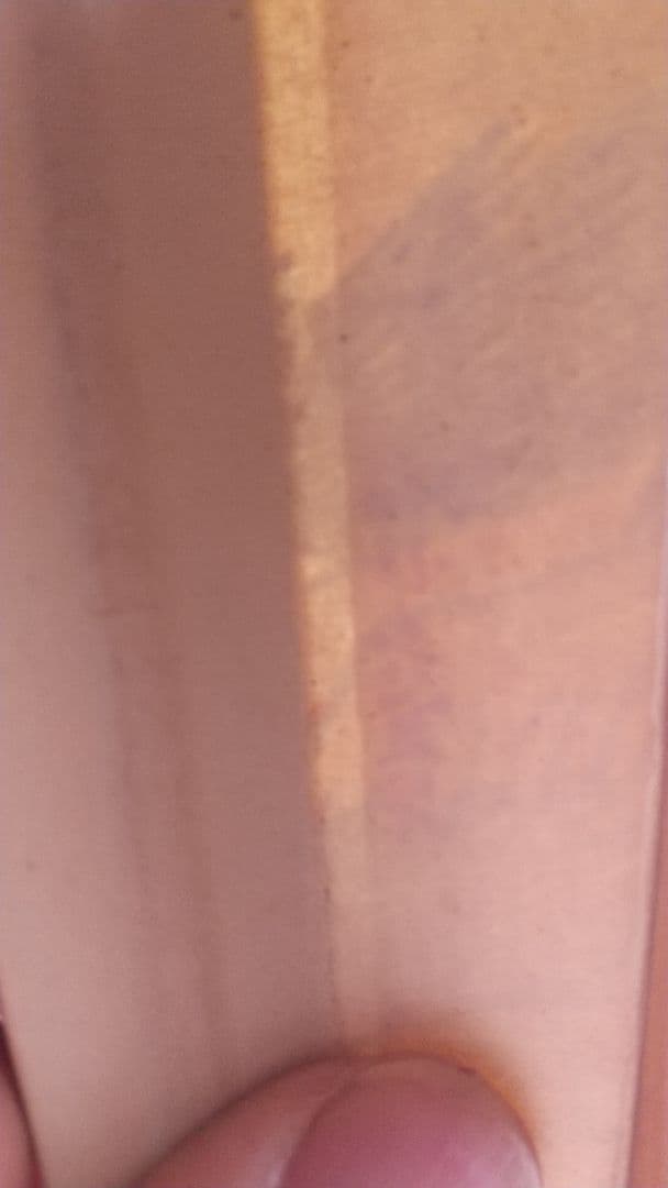 中国 子安刻 山水扇子 要破損 書画篆刻 頂布五層 舒蓮記監製？