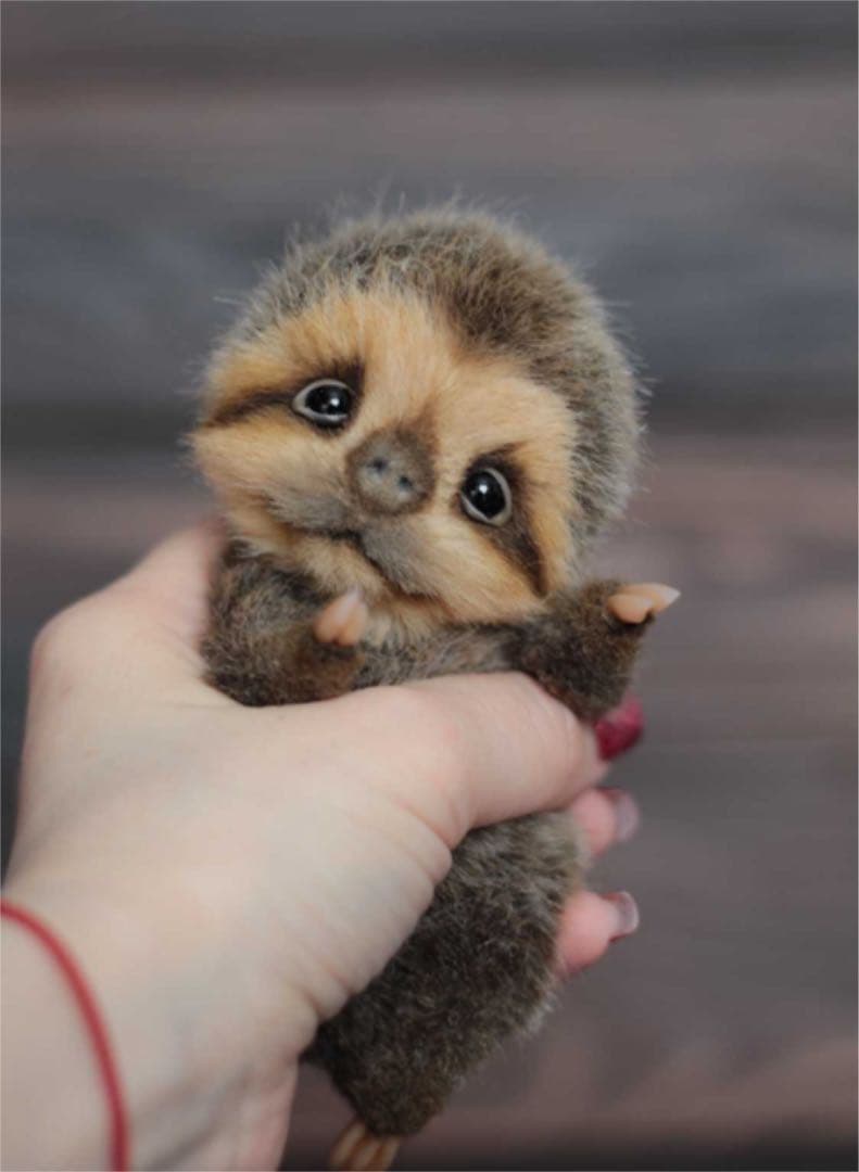 アートドール　ナマケモノ　ぬいぐるみセット　91000円値下げ