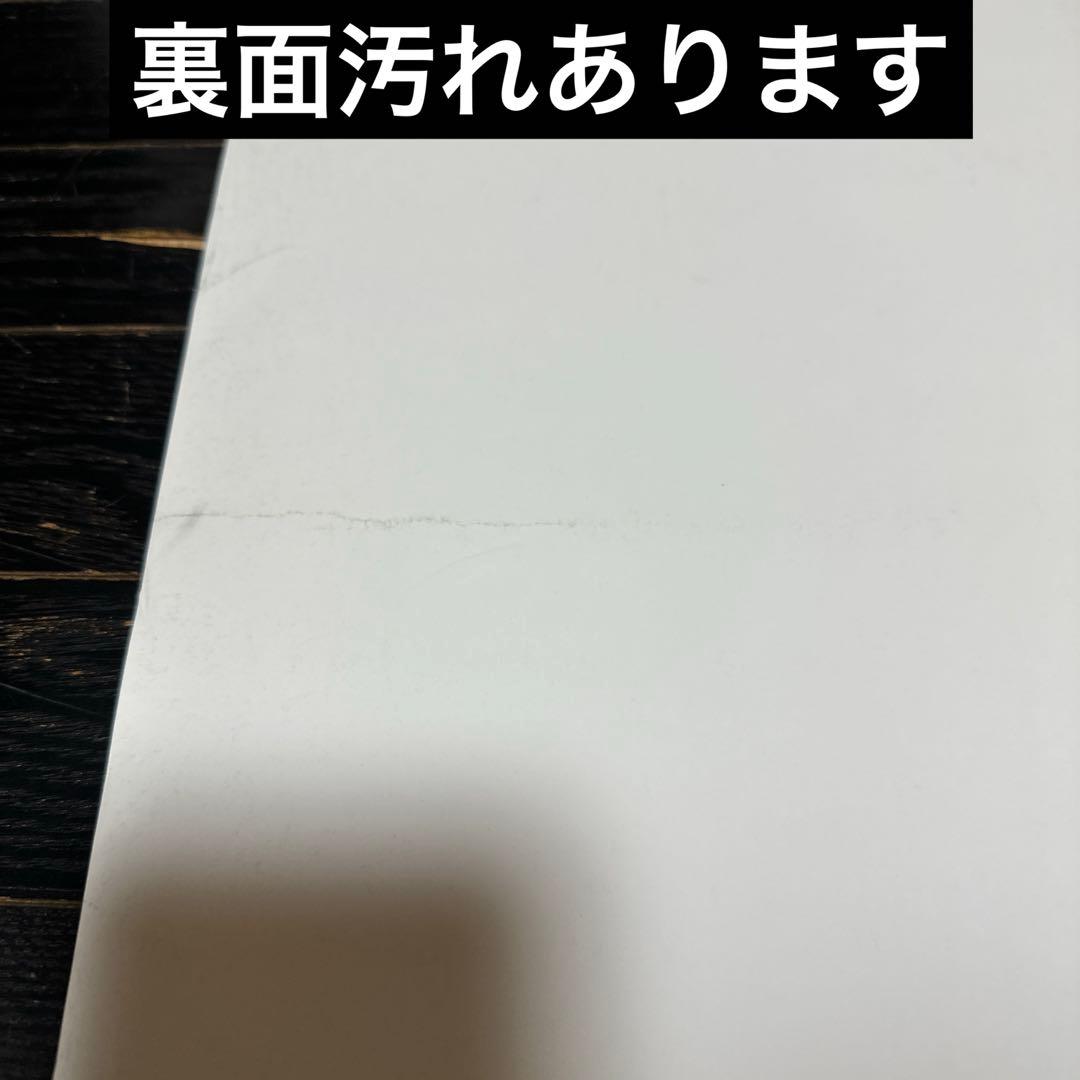 桃井かおり　A1サイズ　ポスター　SK-Ⅱ 当時品　女優　タレント　化粧品　④