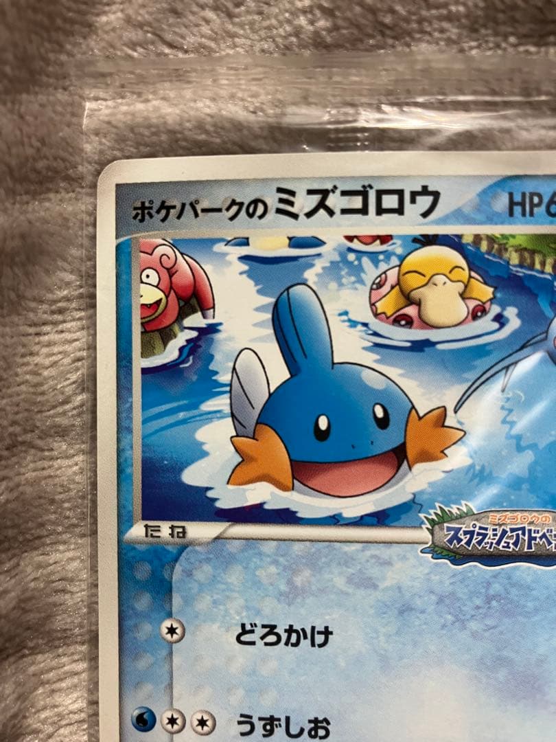 【未開封】ポケパークのミズゴロウ