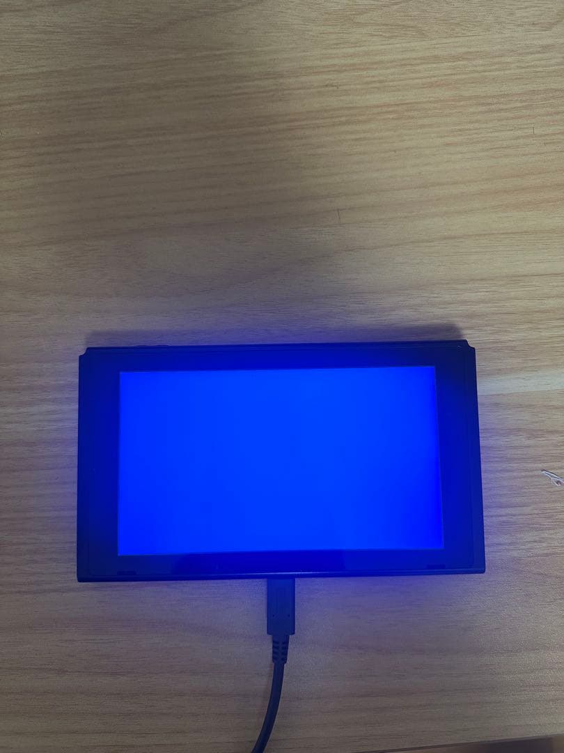 【箱・付属品完備】Nintendo Switch ジャンク品 ブルースクリーン