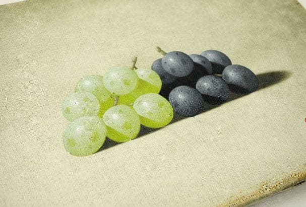 大竹山規「葡萄」SMサイズ 絵画 百貨店購入