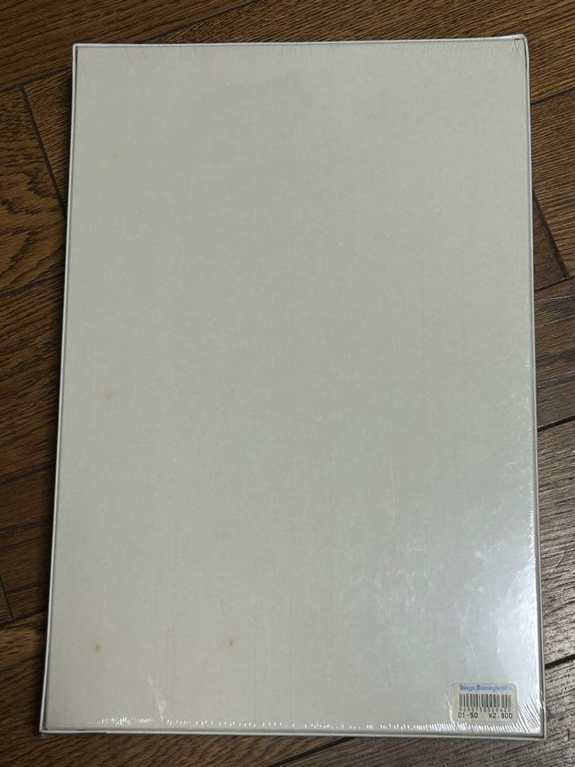 【TDL限定】ジグソーパズル1000ピース　カヌー探検　ミッキーミニーグーフィー