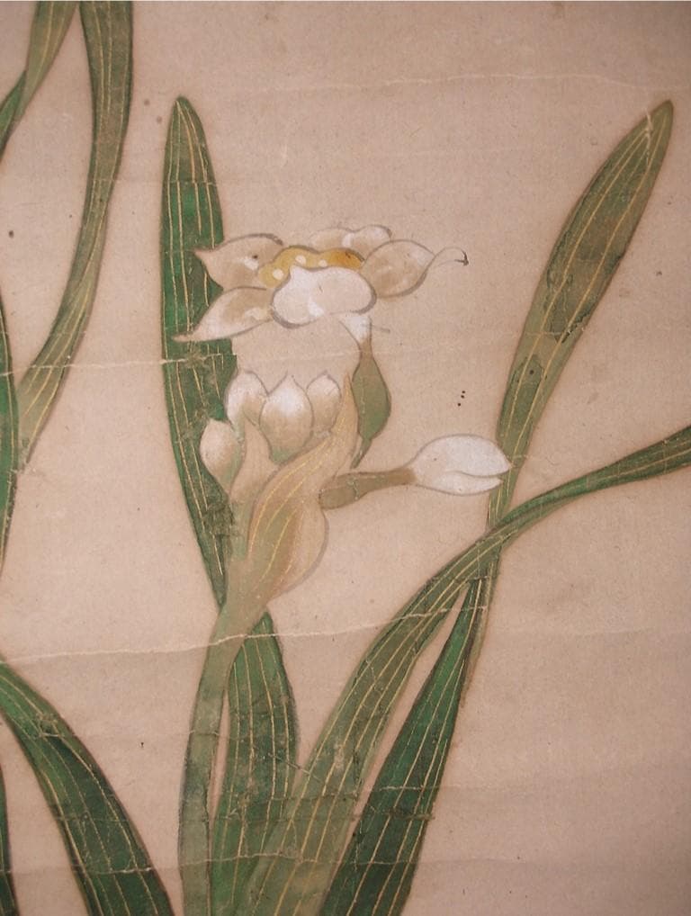 ◆『谷文晁 水仙図』紙本彩色◆検）円山応挙 伊藤若冲 上村松園 大橋翠石