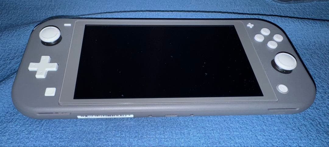 任天堂 Switch Lite スイッチライト グレー 本体 おまけ付