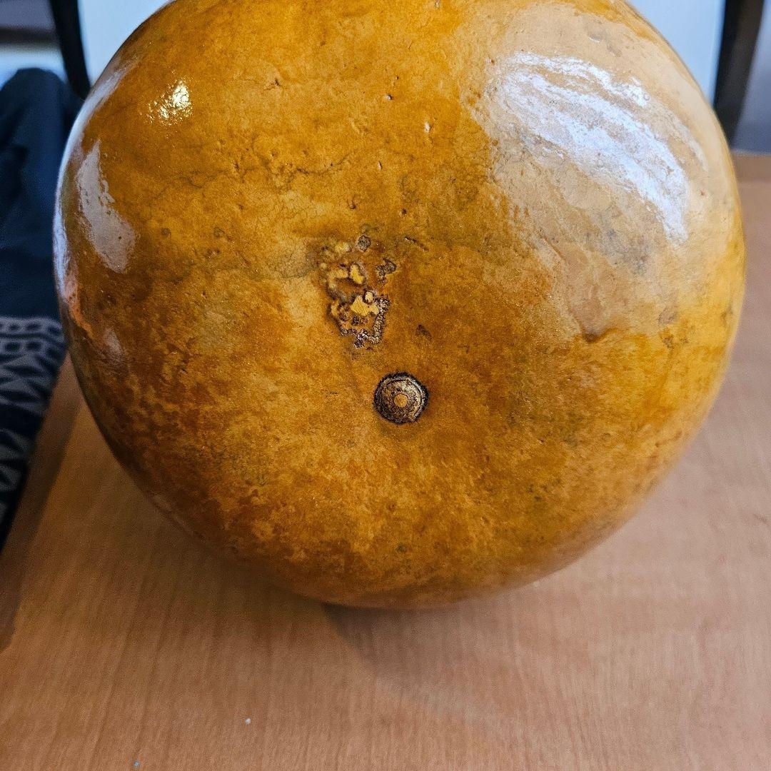 フラダンス用 楽器 イプ 幾何学柄カバー付き