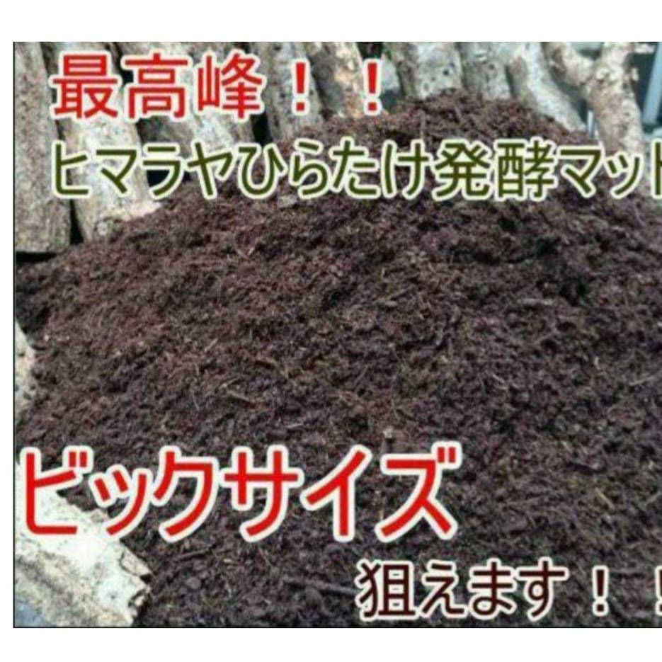 大量飼育に！良質　発酵カブトムシマット【500リットル】幼虫が丸々太る添加剤入り