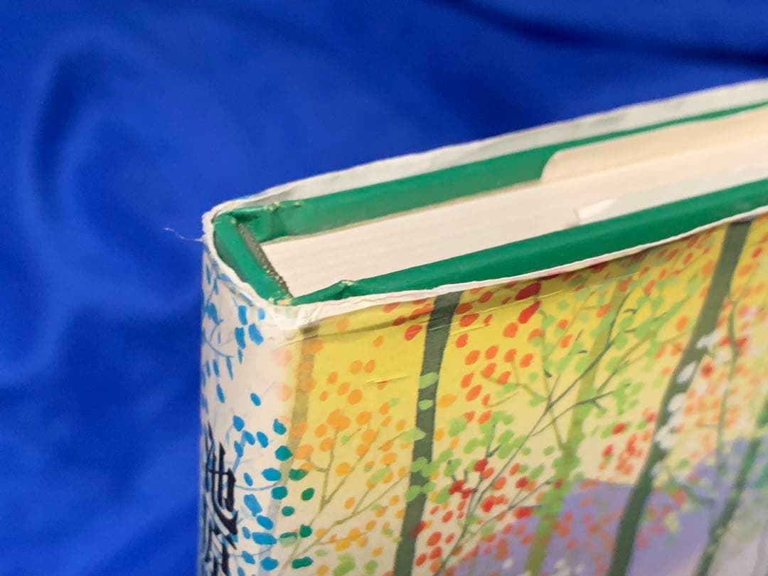 【初版 サイン＆イラスト入り】池原昭治画集 カッコウの鳴く朝 わらべのいる風景