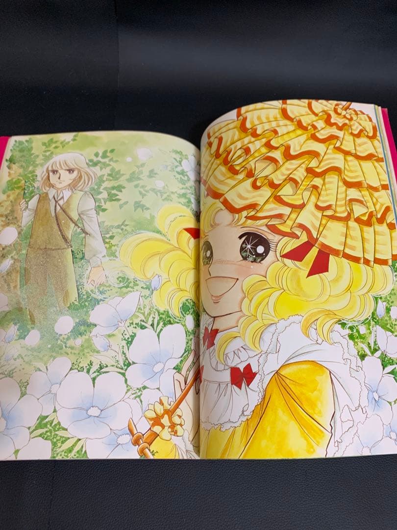 【絶版・完品】キャンディキャンディイラスト集　いがらしゆみこ　水木杏子