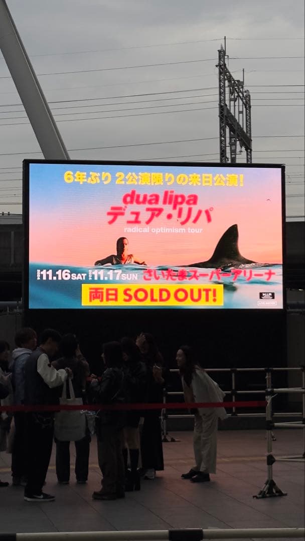 【新品未使用】Dua Lipa ラジカル・オプティミズム レコード　レア