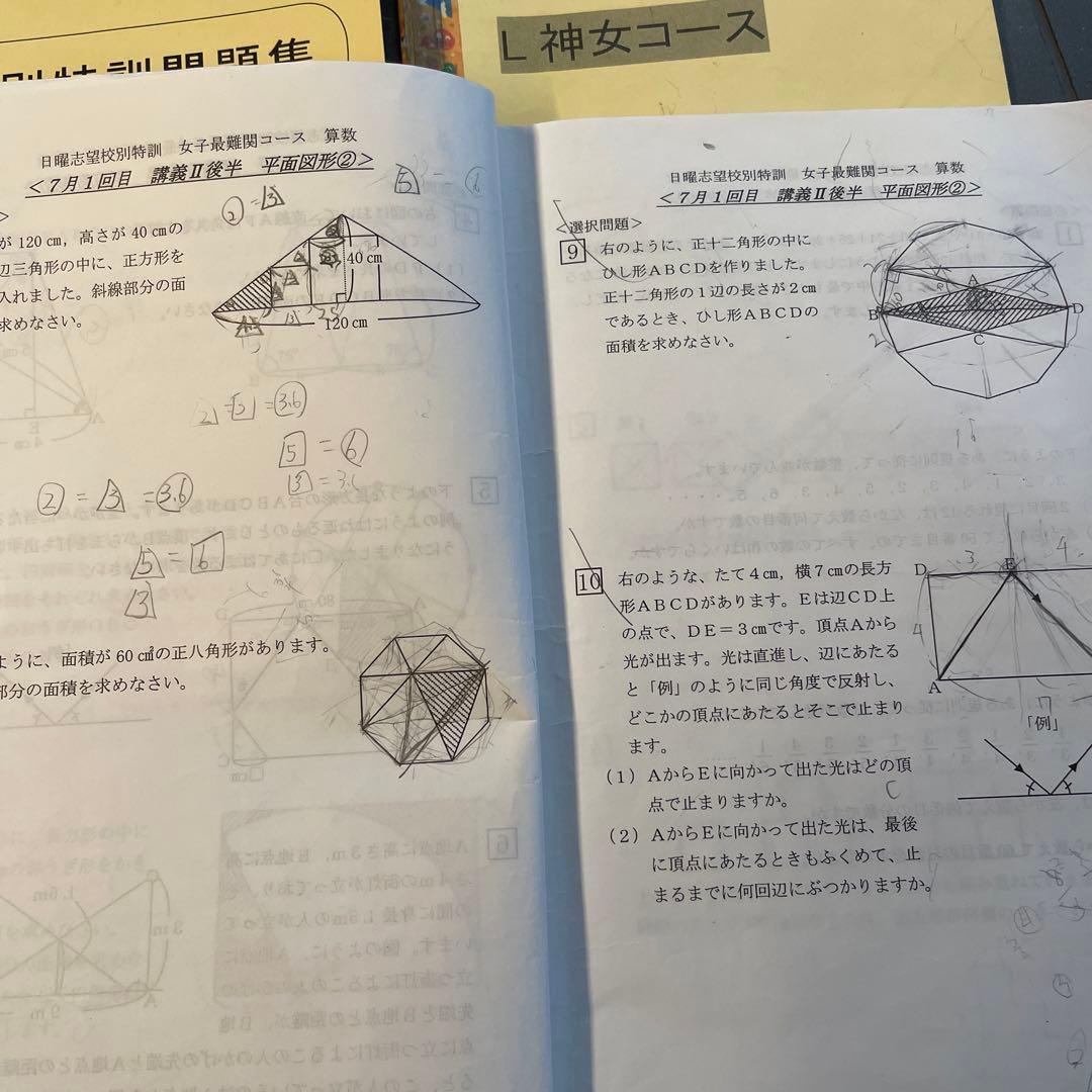 浜学園　神戸女学院　L神女コース教材　算数理科社会16冊まとめ売り