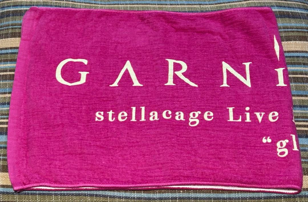 BIG ブロマイド ミニカード GARNiDELiA 美依礼芽 MARiA 他