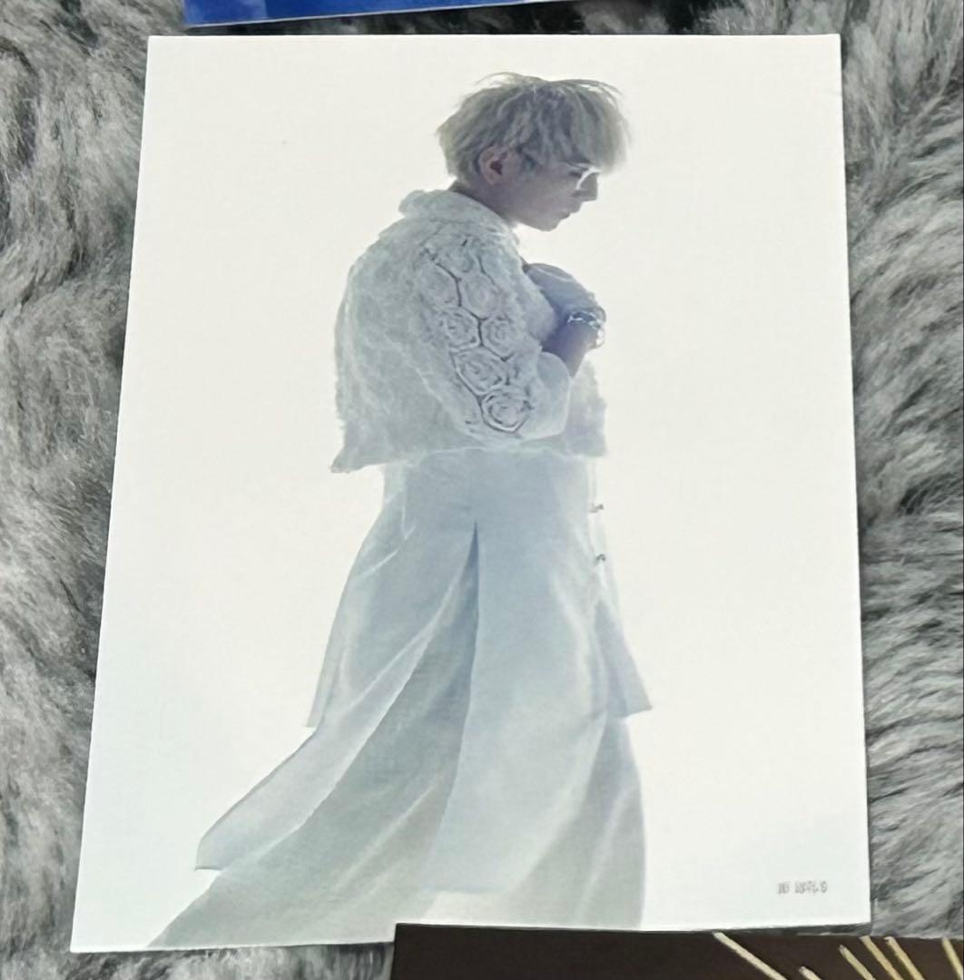 BIG ブロマイド ミニカード GARNiDELiA 美依礼芽 MARiA 他