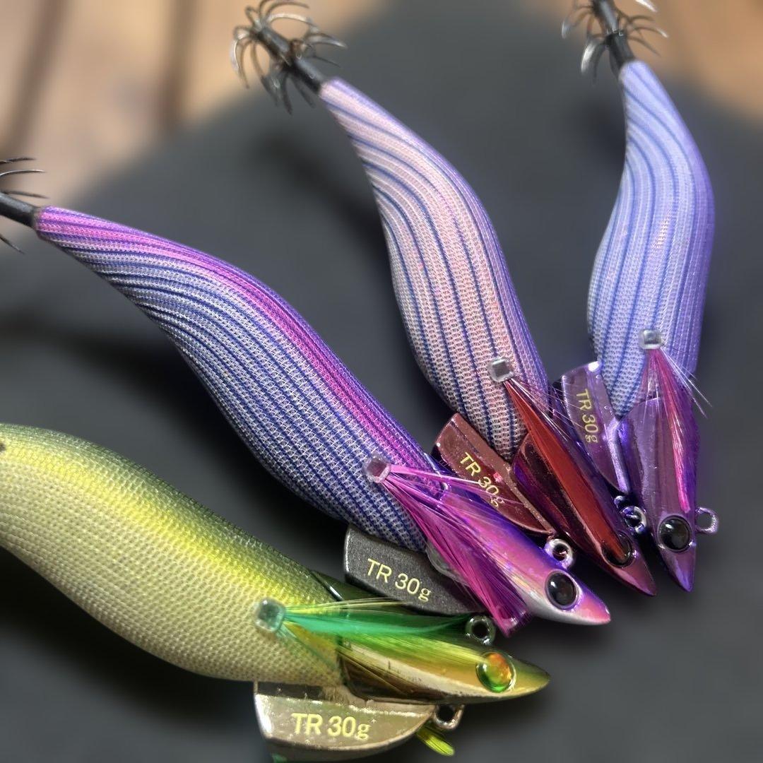 エギリーダートマックス　TR30g ティップラン