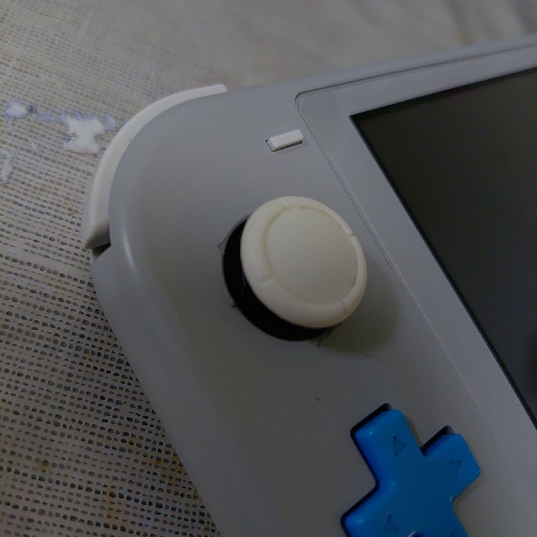 ま*ぐ様 【訳あり】Nintendo Switch Lite ザシアン＆ザマゼン