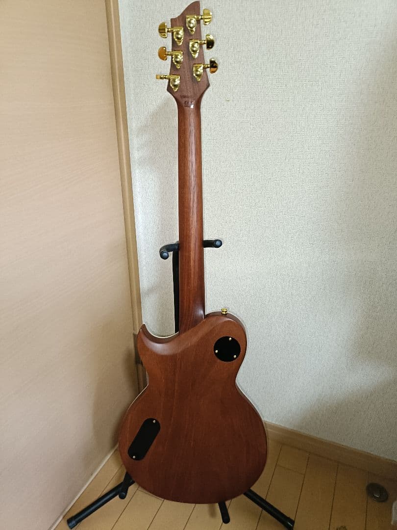 ARIAPROII PE-MAHO II / G 生産終了モデル