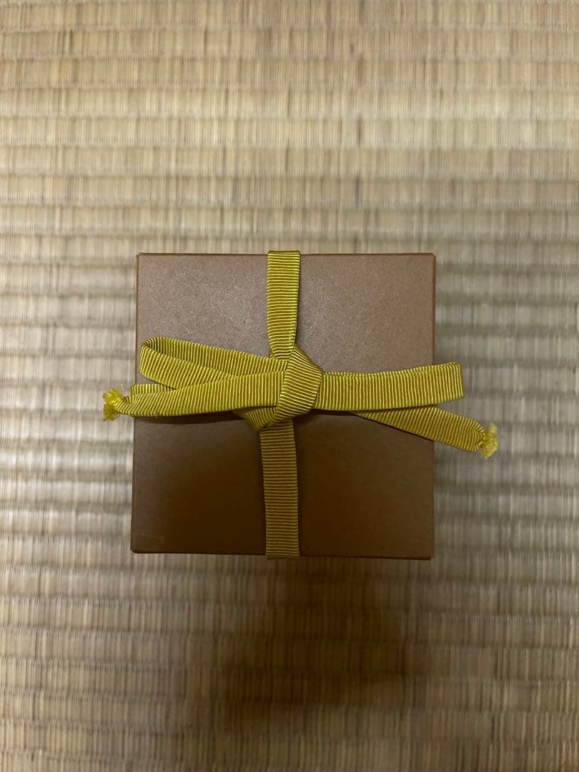 初瀬川柳庵　即中斎好　出世ウロコ中棗　即中斎　箱書　茶道具　茶器