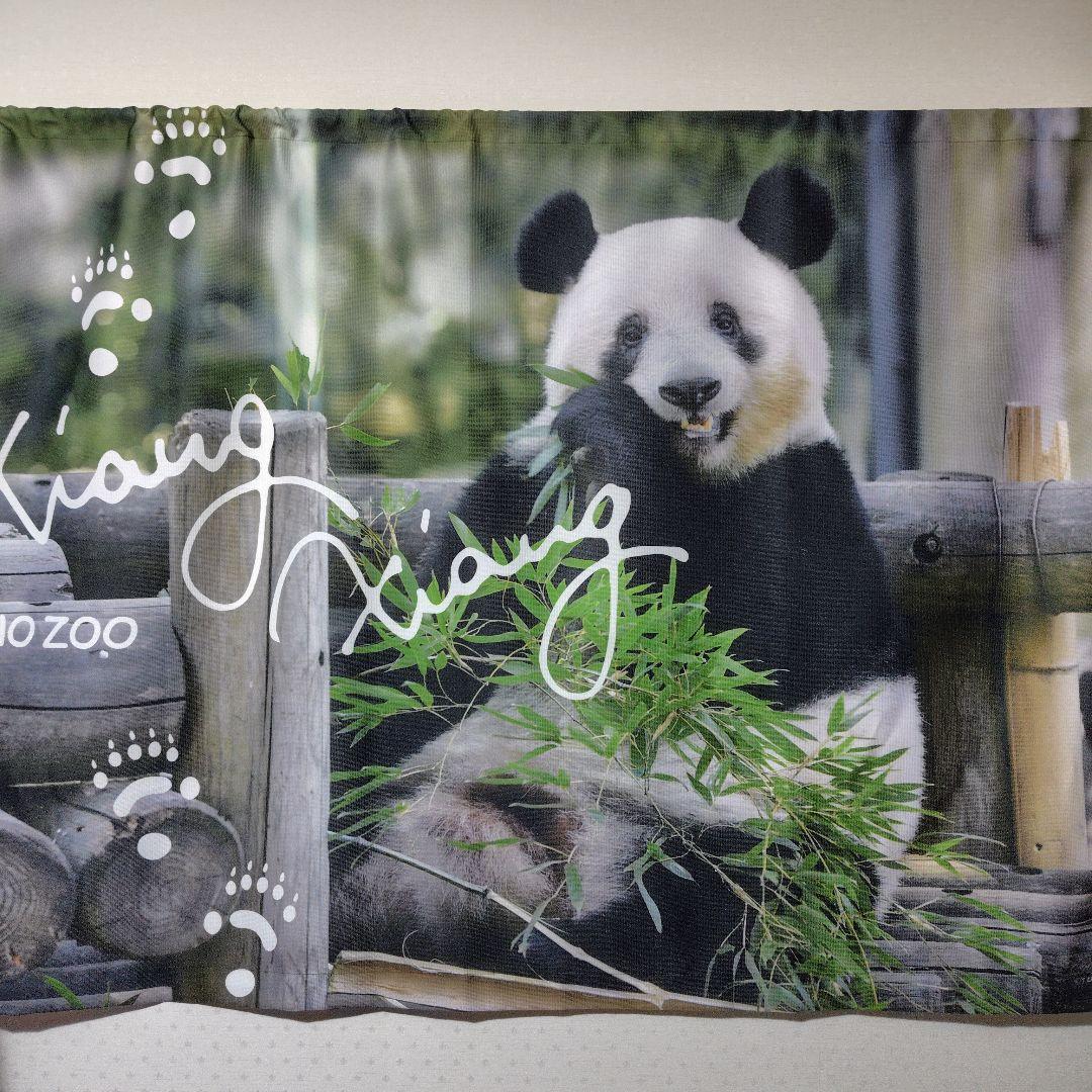 上野動物園 抱っこ シャンシャン パンダ ぬいぐるみ 32点セット