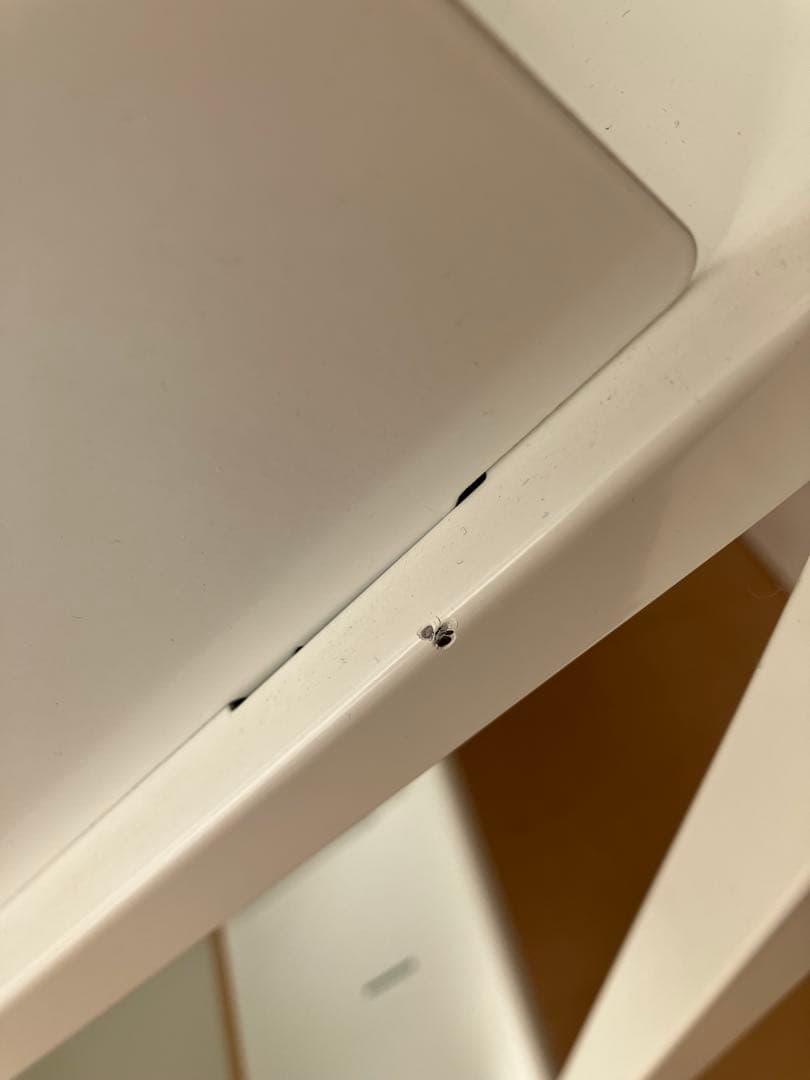 カルテワゴン ホワイト 2段式ワゴン 仕切り付き