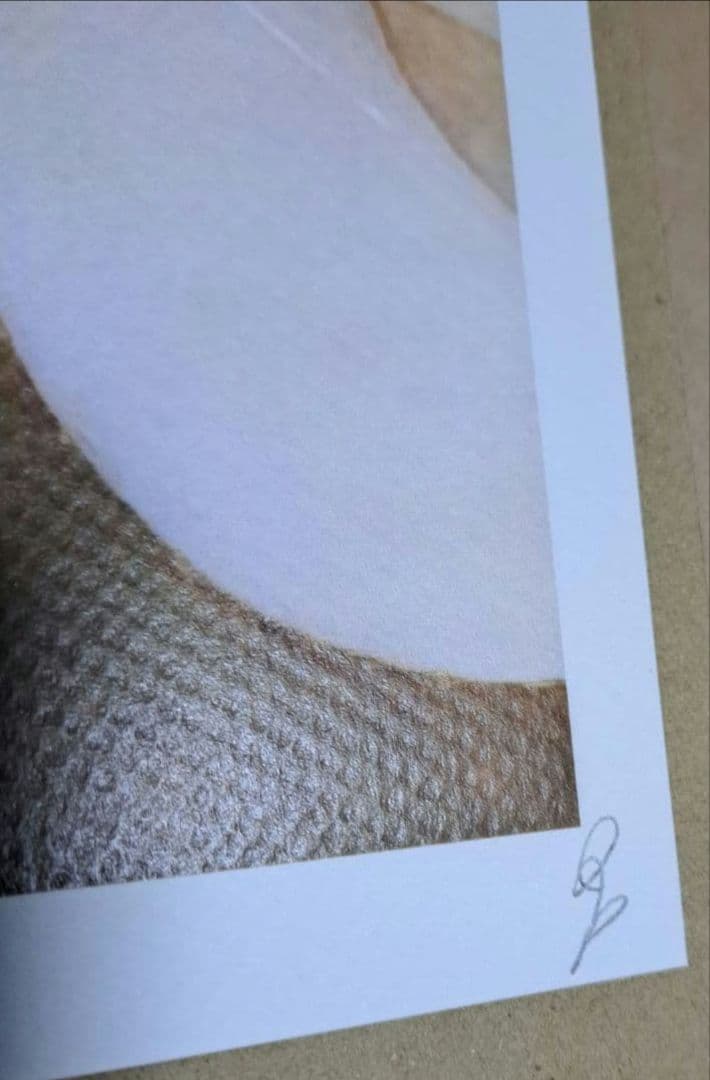 DEATH NYC 世界限定100枚 ポスター 奈良美智　ロッタちゃん　2枚組