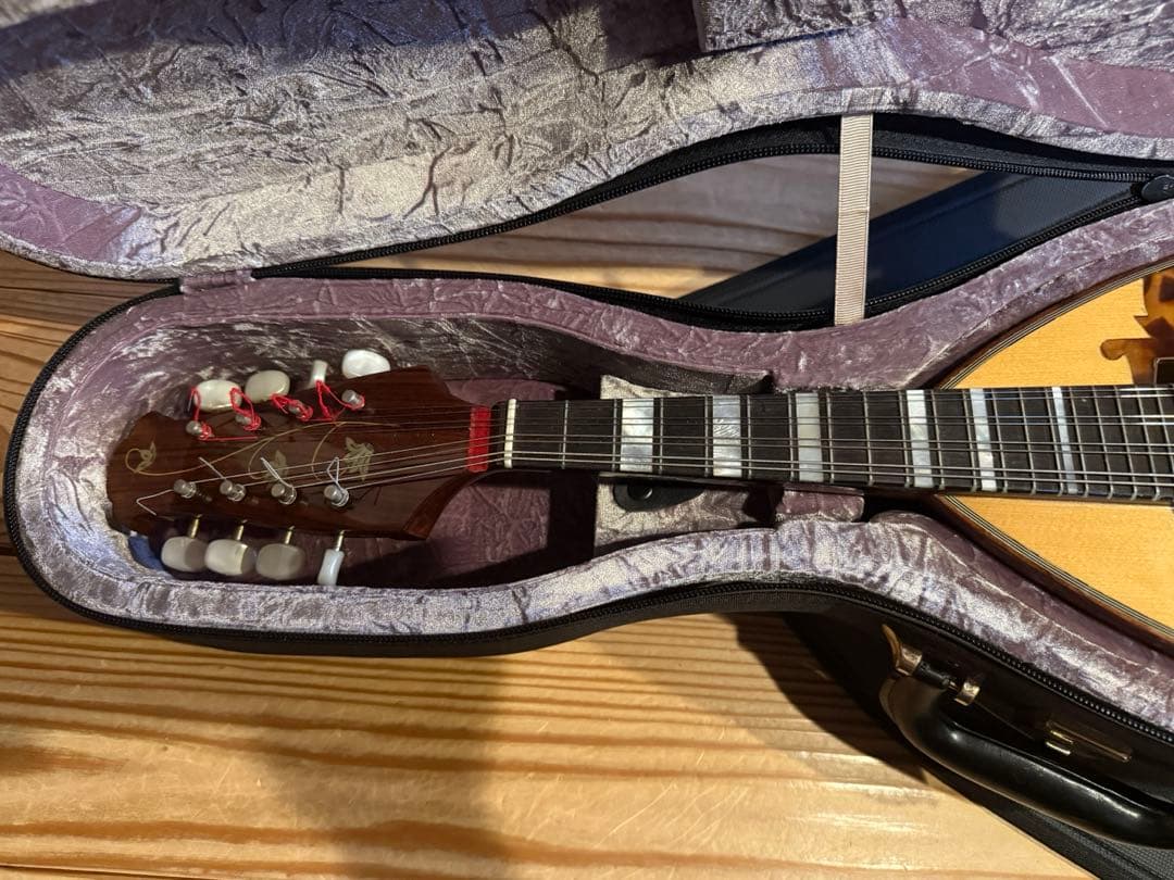 【希少】マンドリンカラーチェNo.15