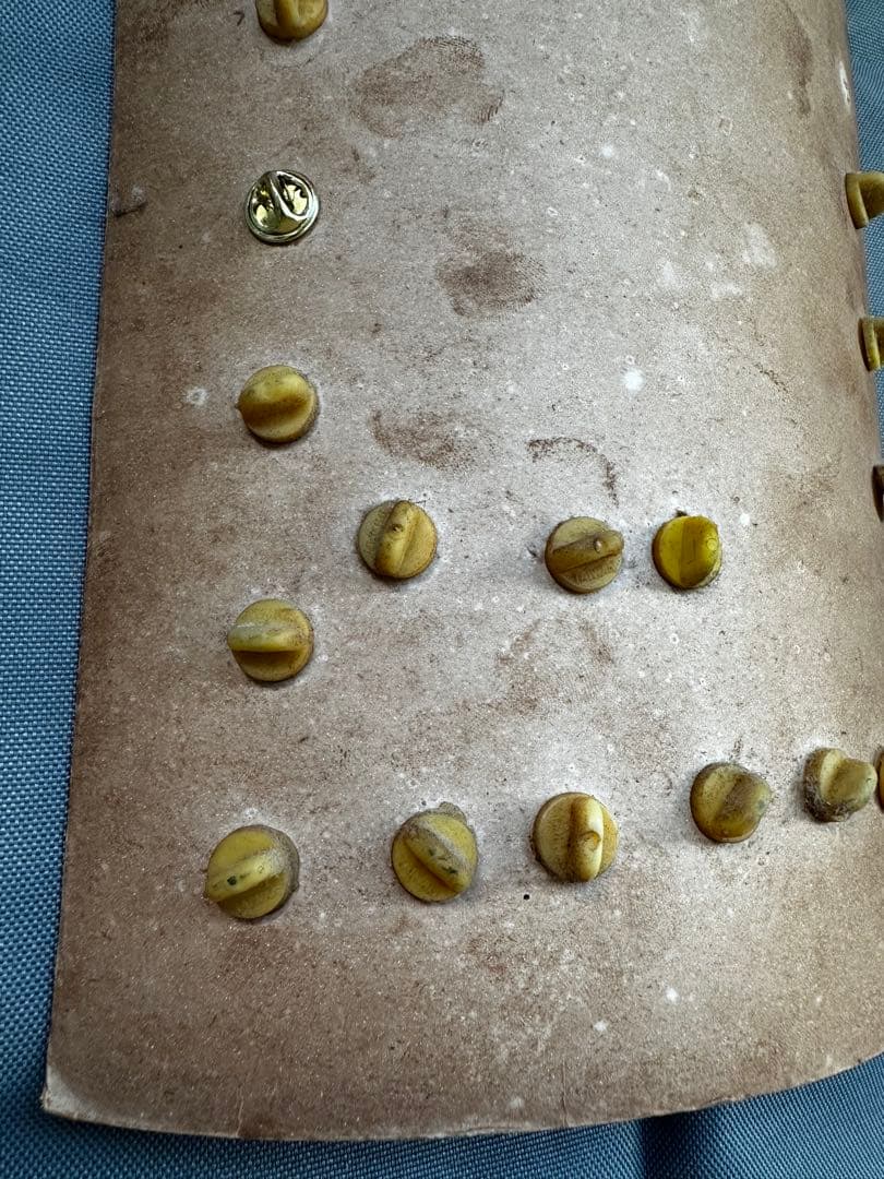 米軍　ベトナム派遣部隊　ピンバッジ