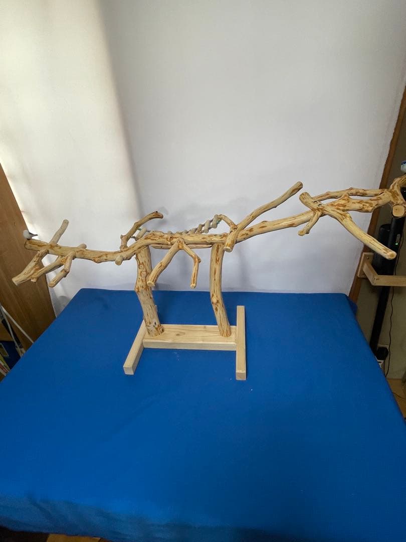 天然木白木卓上横タイプバードジム