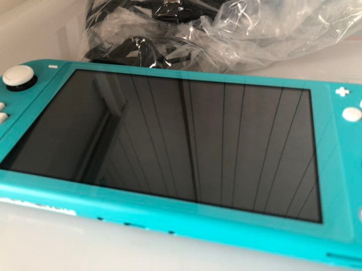 Switch Light ターコイズ、あつまれどうぶつの森、キャリングケース