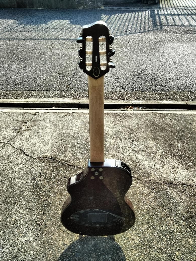 ギター Variax Acoustic 300 Nylon