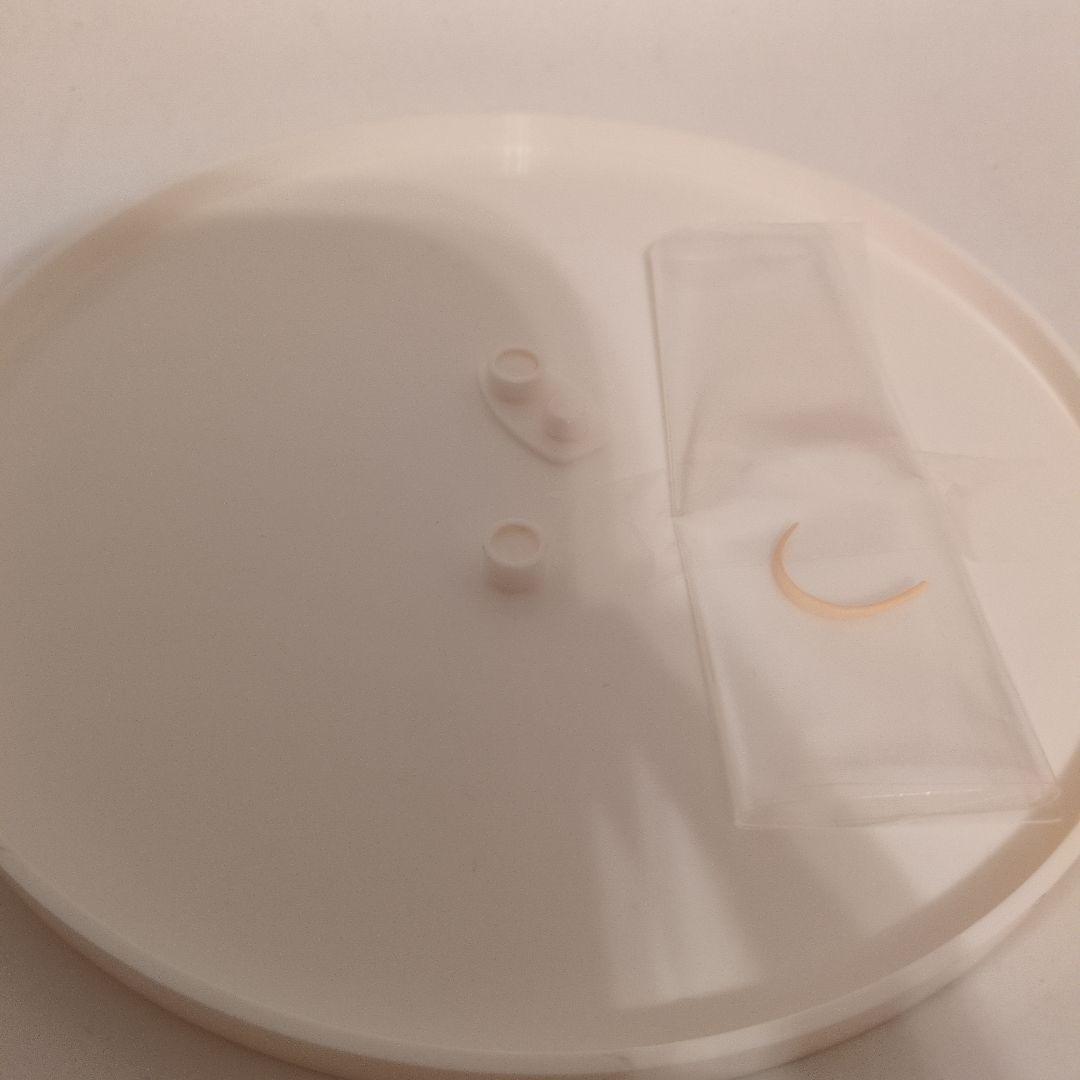 Fate/stay night セイバー 10thロイヤルドレスver fgo