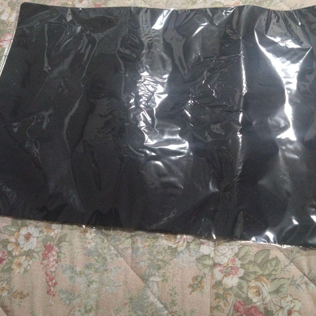 フュージョンワールド　日本選手権　プレイマット