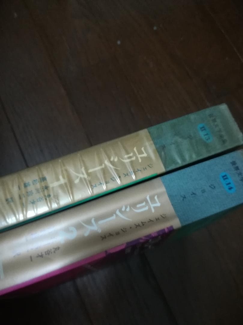 ジェイムズ・ジョイス 　ユリシーズ　世界文学全集