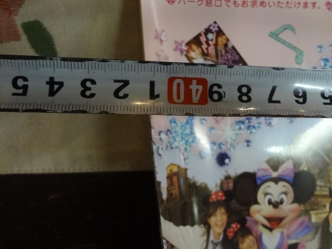 東京ディズニーリゾート「キャンパスデーパスポート」販促非売品ポスター