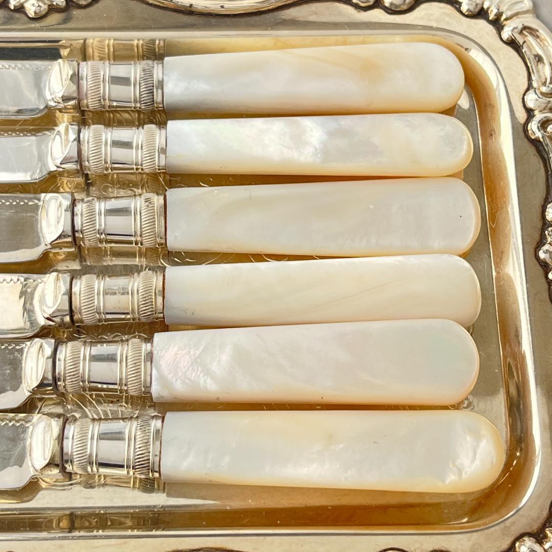 【英国 】【白蝶貝】ビクトリアン デザートセット12本 マザーオブパール ケース