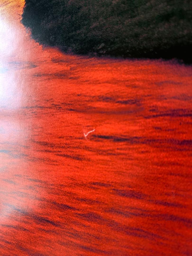 リーピング　USオリジナル映画ポスター