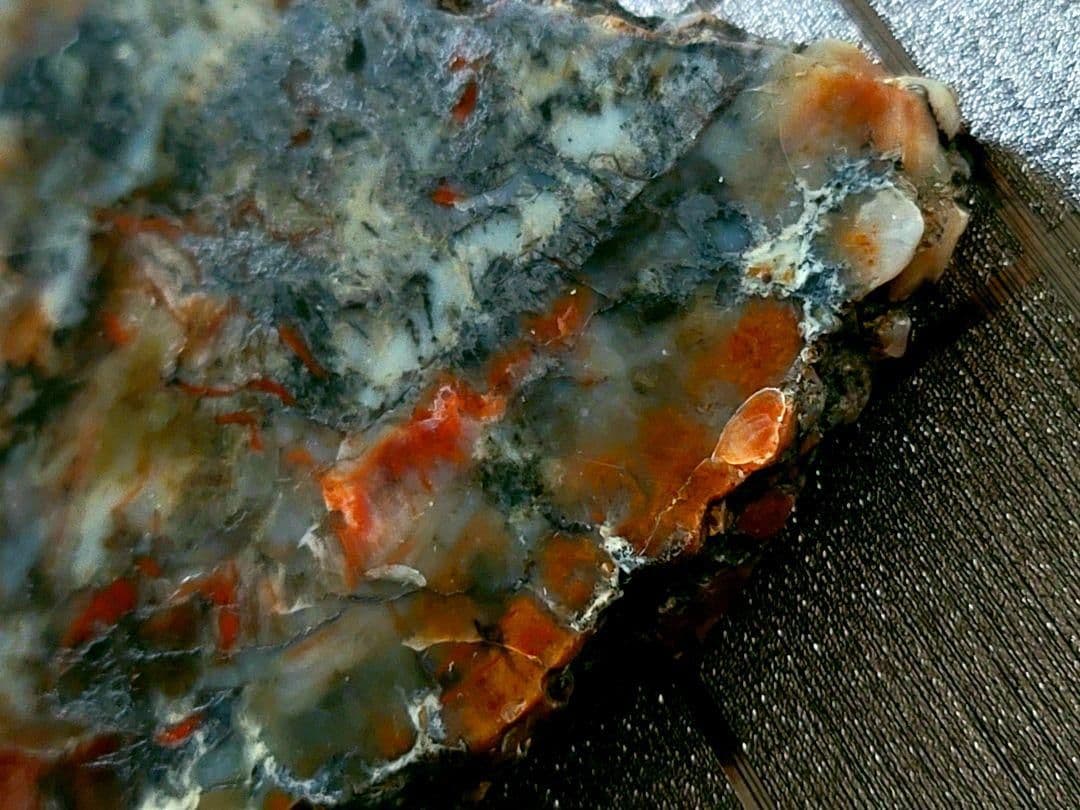 化石『恐竜の糞化石』コプロライト 希少 標本 稀石 生痕 草食恐竜 瑪瑙化 天然