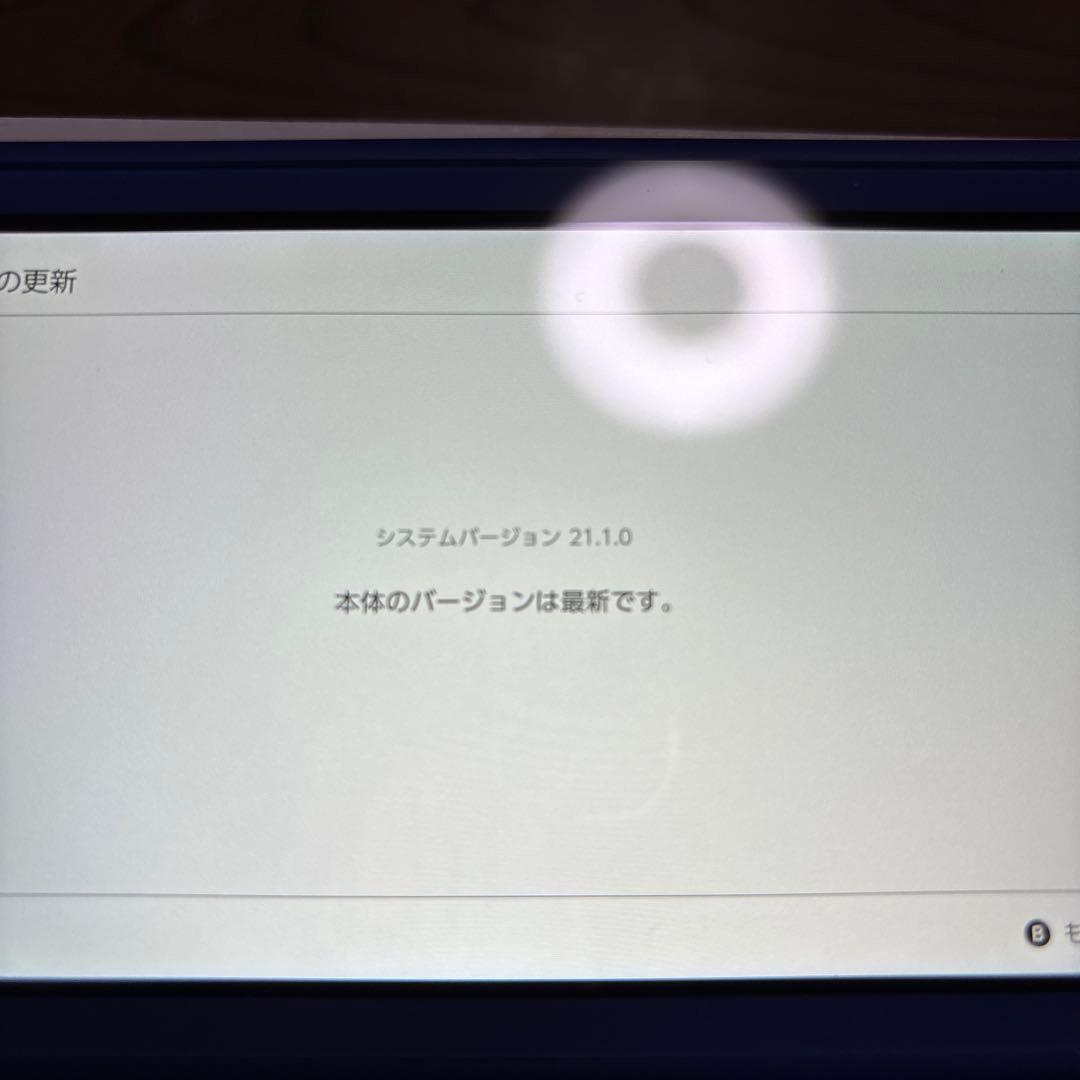 Nintendo Switch Lite ブルー 本体 超美品 完備品 ケース付