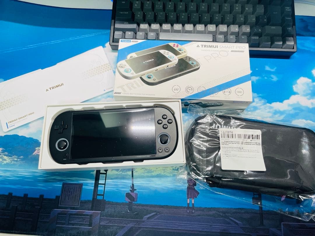 Trimui Smart Pro 256gb ブラック 美品 ケースおまけつき