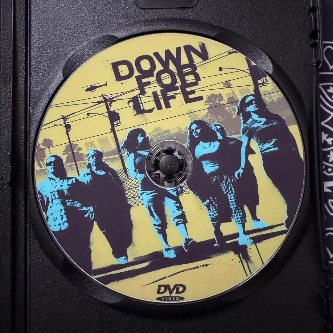 Down For Life チカーノ chicano ローライダー チカーナ