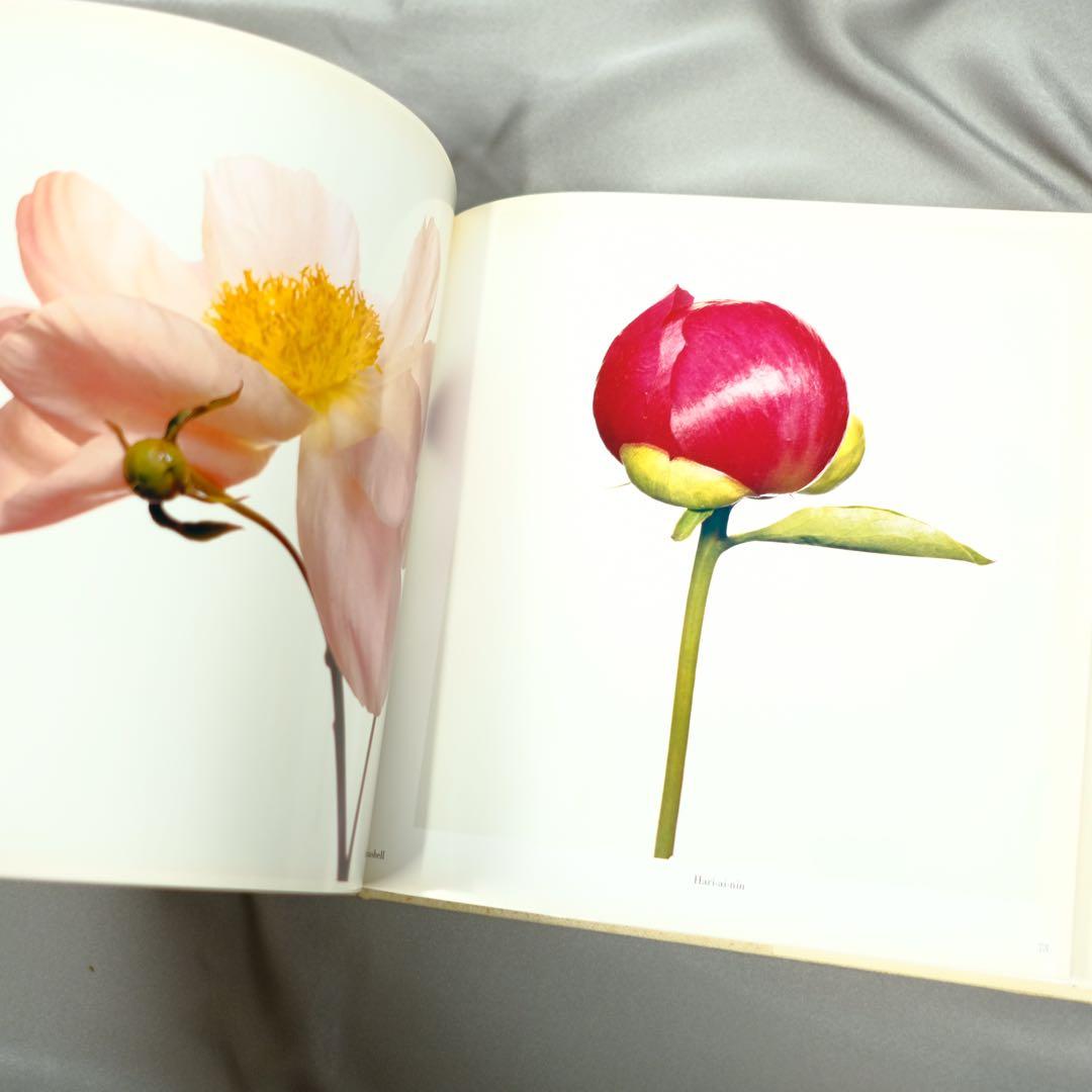 Irving Penn FLOWERS アーヴィング•ペン　写真集　洋書　初版