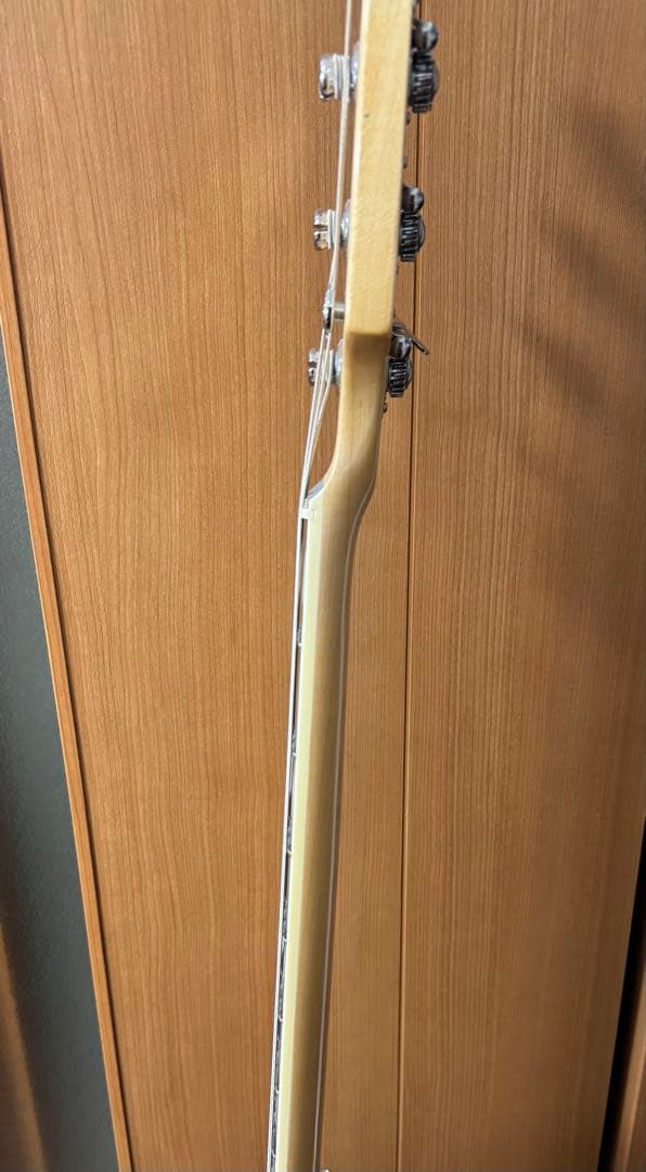 Sire Marcus Miller V7 【純正ケース付き】