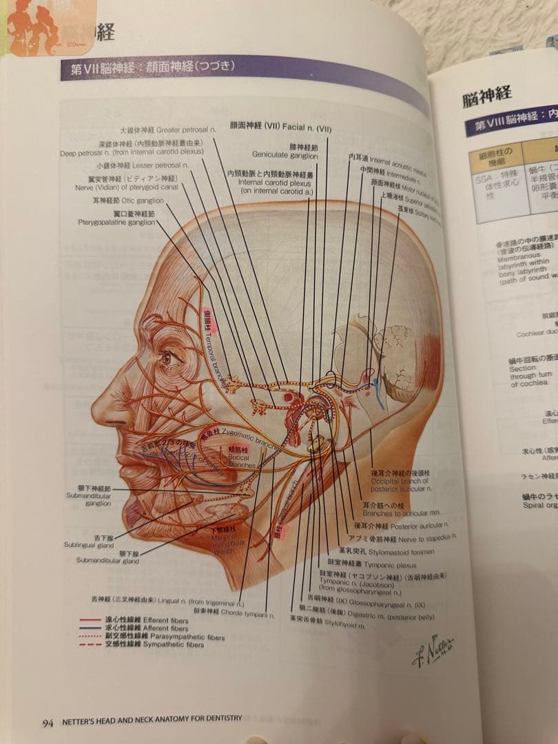 頭頸部・口腔顎顔面の臨床解剖学アトラス 第2版